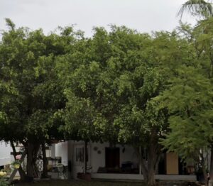 Screenshot 20260111 194608 com google android apps maps MapsActivity edit 303053934027101